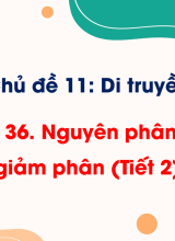 Bài 36. Nguyên phân và giảm phân (Tiết 2)